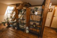 Statek Jakubov - B&B Vojkovice