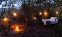 B&B Addo - Glamping Safari Camp - Bellevue Forest Reserve - Bed and Breakfast Addo