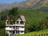 Gruenberg Tea Plantation Haus - B&B