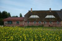 B&B Maltzien - Landhaus Maltzien auf Rügen - Bed and Breakfast Maltzien