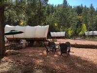 Whispering Pines Covered Wagons - Bed and Breakfast Long Valley Junction