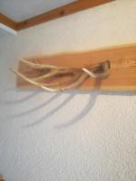 Apartment Vorderstoder - B&B Rossleithen