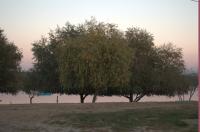 Котеджі Арлен - B&B Dyida