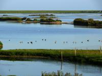 B&B Dagebüll - Haus-Halligblick-Ferienwohnung-Hamburger-Hallig - Bed and Breakfast Dagebüll