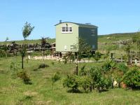 The Buteland Stop Rosie off grid Shepherds Hut - B&B