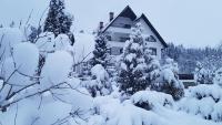 Pensiunea Almas - B&B Piatra Neamţ