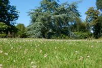 Haus mit 1 Schlafzimmer