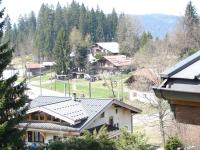 LES CARROZ LE LAYS cosy apartment 40M2 vue montagne plein sud - Ferienwohnung Les Carroz-d'Arâches