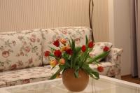 Appartement met 1 Slaapkamer