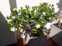 Devoto Duplex - B&B
