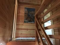 Domek Borsk - B&B