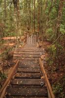 La Casita del Bosque - B&B Castro