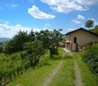 Cascina tra i vigneti a Nizza Monferrato - B&B Nizza Monferrato