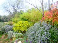 Chambres d'Hôtes de Curnier - B&B Bédoin