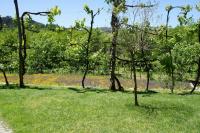 Quinta Travessa - B&B
