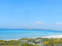 Casa Marcos - B&B Playa Migjorn