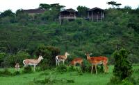 Saruni Eagle View - B&B