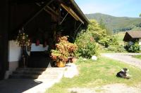 Gschwanderhof - B&B