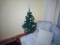 Appartamento - Piano Terra