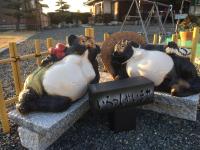 しまなみ海道お宿ぽんぽこ - B&B Imabari