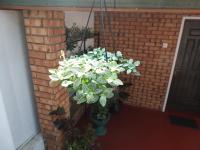 Rest for Guests - Homestay - Ferienwohnung Kandy
