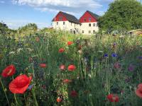 Ferienwohnung Bienenhäusle in Grünkraut / Ravensburg - Chambres d’hôtes