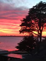 Cove Cott Guest Accommodation - B&B Warsash