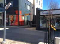 Joutsen Apartments - B&B Rovaniemi