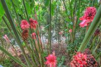 Apartamento - 2 niveles