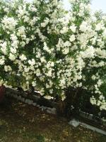 Comfort Familienzimmer