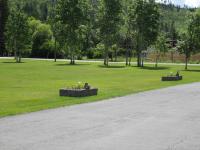 Mountain Springs Motel & RV Park