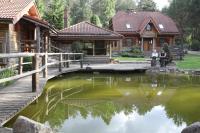 Double Room with Forest View