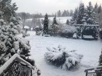 Noclegi Pod Borkiem - Ferienwohnung Szypliszki