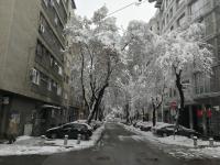 Belgrade city center , Light of Dorcol - B&B