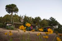 B&B Pichilemu - Cabañas Lugano - Bed and Breakfast Pichilemu