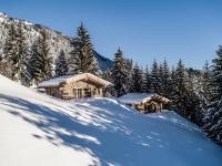Chalet met 1 Slaapkamer