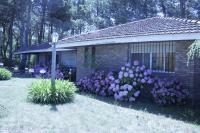 Chalet Panda - B&B Pinamar