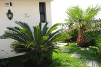 Vivenda Belo Horizonte - B&B Caniço