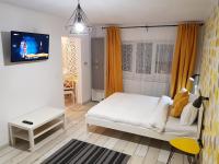 Dream Studio 2 Petrosani - Ferienwohnung Petroşani