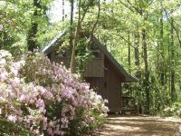 The Meadow Cabin - B&B Folsom