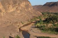 Auberge Restaurant TISSILI " Oasis de Fint" - B&B Fint