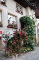 The Old Town Flat - B&B Morat