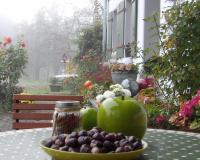 Apartment - auf 2 Etagen