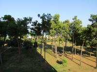 Casamare Royal - B&B