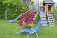 Grenzberg Appartements - Ferienwohnung Bad Gastein