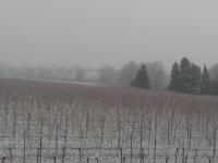 Gästehaus Schumann - B&B Essingen