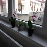 Lovely apartment in Old town 400m from city center Sebilj - Ferienwohnung Sarajevo
