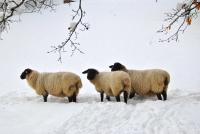 Casa con 3 Camere da Letto