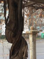 Cosy Splendor / City Center - Ferienwohnung Graz