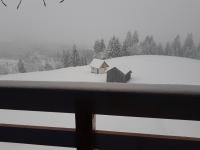 Camera Quadrupla con Bagno in Comune 